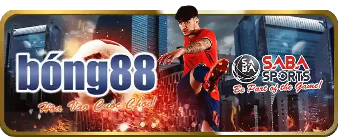 Hai chú gà đang đá nhau